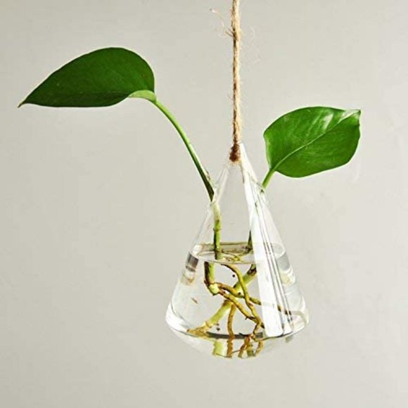 Anthropologie 3 Pcs Glass Plant Pots Planters Hang - Picture 2 of 8